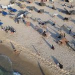 gazzelilerin direnisi havadan goruntulendi yRI2Ngm3