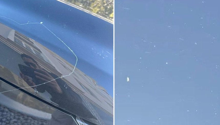 Gökyüzünden örümcek ağı yağdı 71 gokyuzunden orumcek agi yagdi j7SCG4Tz