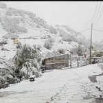 hasadi yapilmayan ceviz kar altinda kaldi ZGEQgAdS