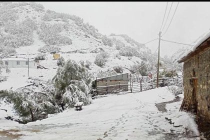 hasadi yapilmayan ceviz kar altinda kaldi ZGEQgAdS