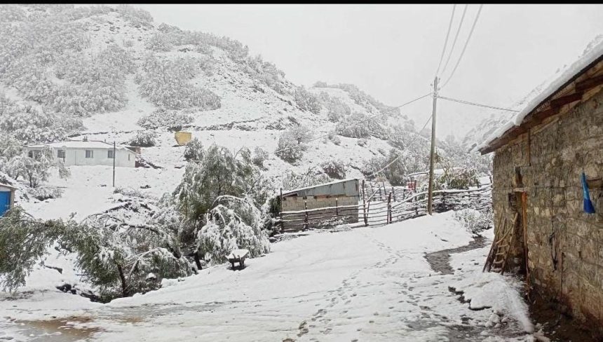 hasadi yapilmayan ceviz kar altinda kaldi ZGEQgAdS