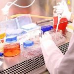 hucreleri kandiran besin molekulleri kesfedildi 634y5Hlr