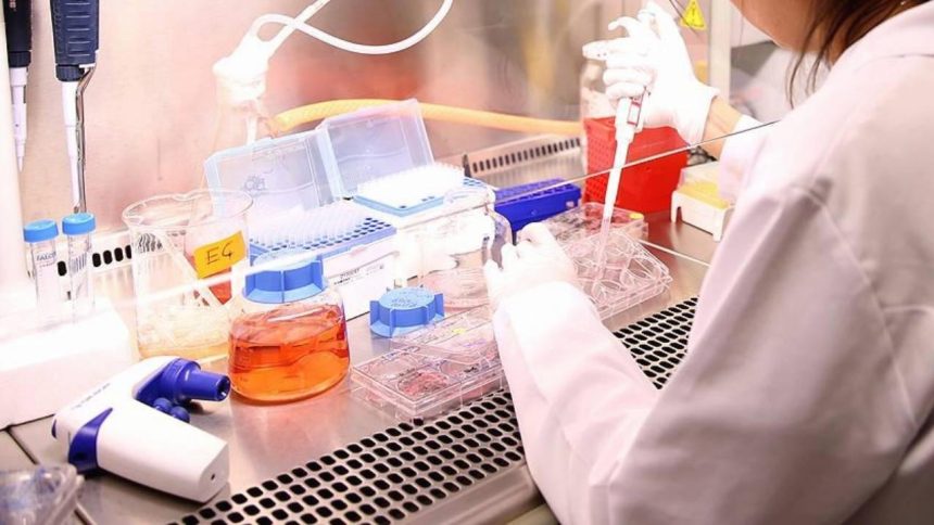 hucreleri kandiran besin molekulleri kesfedildi 634y5Hlr