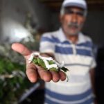 ipegin merkezi uretim 1 yilda yuzde 15 artti JVVfv9Ow