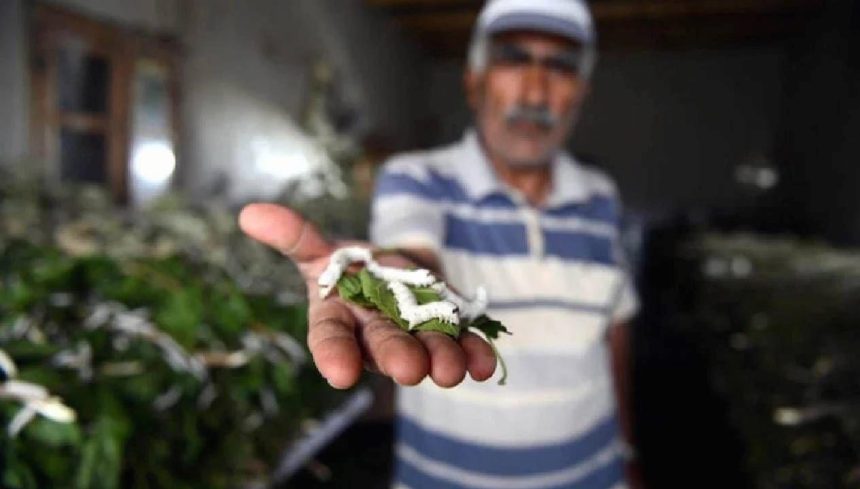 ipegin merkezi uretim 1 yilda yuzde 15 artti JVVfv9Ow