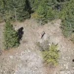 ispartada kacak avci drone ile yakalandi lKy2biFb