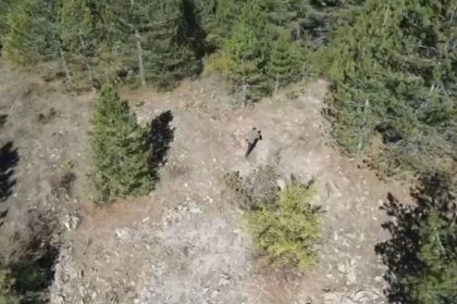 ispartada kacak avci drone ile yakalandi lKy2biFb