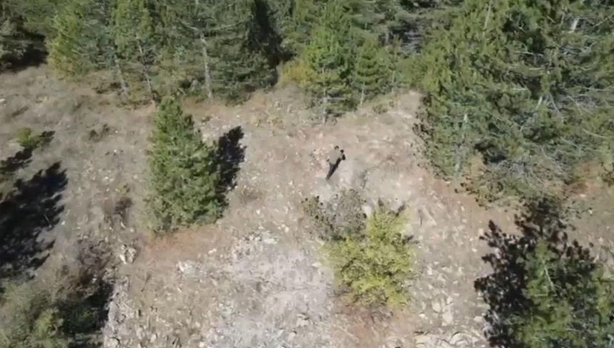 ispartada kacak avci drone ile yakalandi lKy2biFb