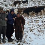 kar yaginca yaylada mahsur kalan bayani komsulari kurtardi r3AlPcJL