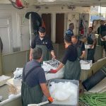 karadenizden kasalarca hamsi cikti AmrfLFev