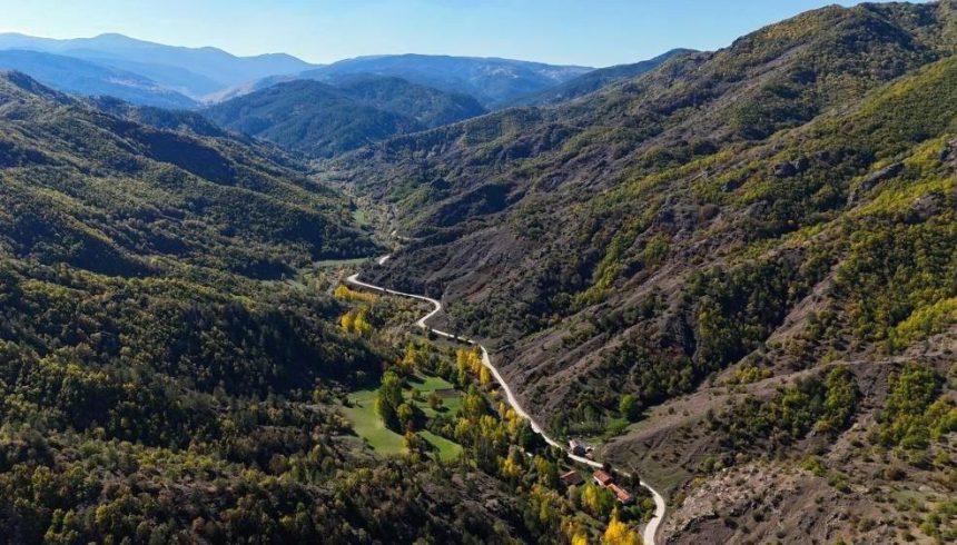 kastamonu ormanlarinda renk cumbusu yasaniyor zBDD9w9R