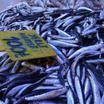 kilosu 300 tlden 100 tlye dustu kapis kapis gitti QvhN179B