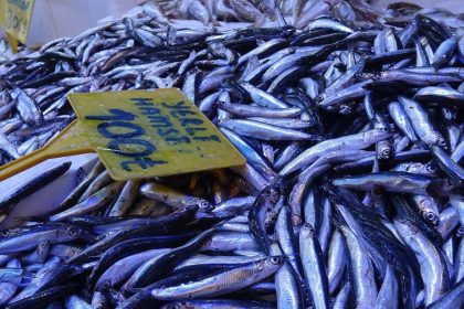 kilosu 300 tlden 100 tlye dustu kapis kapis gitti QvhN179B