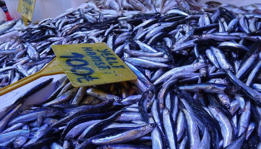 kilosu 300 tlden 100 tlye dustu kapis kapis gitti QvhN179B