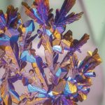 kojik asit nedir ne ise yarar cilt lekeleri renk esitsizligi ve batik goruntusune etkisi WPanmXnj