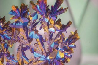 kojik asit nedir ne ise yarar cilt lekeleri renk esitsizligi ve batik goruntusune etkisi WPanmXnj