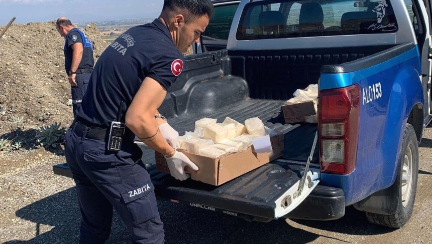 kontroller suruyor kilolarca bozuk peynir imha edildi KgYemcWN