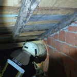 konutun catisinda yaban arisi panigi itfaiye takimlari cikardi FOiZDvOe