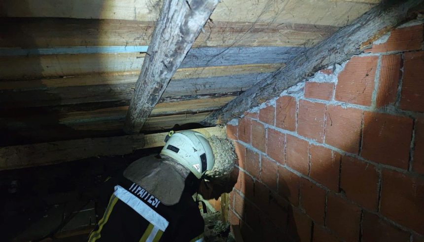 konutun catisinda yaban arisi panigi itfaiye takimlari cikardi FOiZDvOe