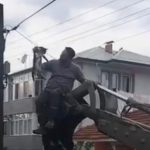 kopeklerden kacan kedi direkte mahsur kaldi QQ75tPpH