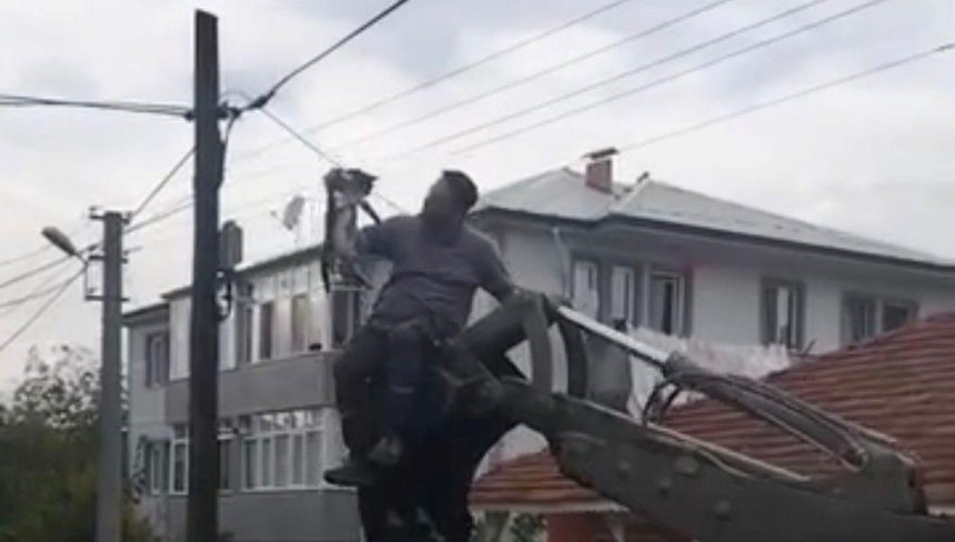 kopeklerden kacan kedi direkte mahsur kaldi QQ75tPpH