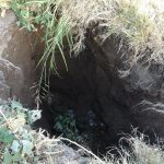 malatyada kayisi bahcesinde obruk olustu 8u9l3rXt