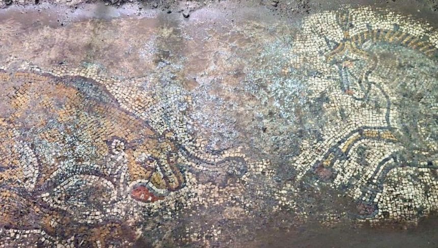 Mardin'de tarihi eser operasyonu: Yaklaşık 1500 yıllık mozaik bulundu 71 mardinde tarihi eser operasyonu yaklasik 1500 yillik mozaik bulundu JPOPYhrZ