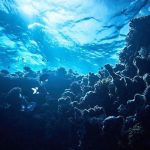 okyanusun altindan siziyor antarktikada sasirtan kesif EPN7ueuN