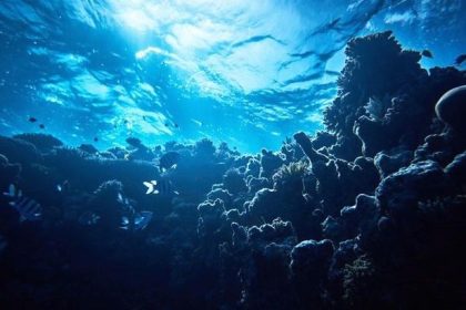 okyanusun altindan siziyor antarktikada sasirtan kesif EPN7ueuN