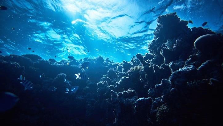 okyanusun altindan siziyor antarktikada sasirtan kesif EPN7ueuN