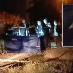 ormanda meyyit bulunmustu teslimenin mektubu ortaya cikti 2j24ANkK