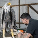 ormandan toplayipdonusturuyor her modulunde duygusal bir mana var WK6Sw6VC