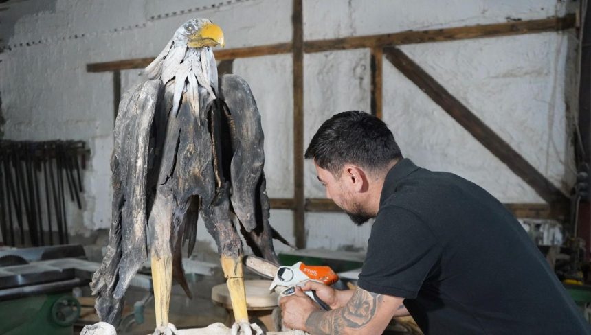 ormandan toplayipdonusturuyor her modulunde duygusal bir mana var WK6Sw6VC