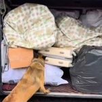 otobusle 34 milyon liralik uyusturucu sevkiyati OmjT8zQj