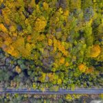 safranbolu ve amasra ortasinda kopru agac tunel yol SIzrLROJ