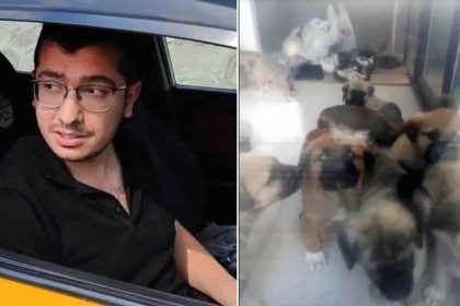 sahiplendigi kopekleri katleden doktora 9 yil 9 ay mahpus cezasi EfW5d3Ck