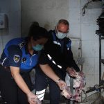 sanliurfada 1 ton bozuk et ele gecirildi ib6sBT8O