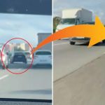 temde makas atti plakadan cinayet cikti Pl1L4QYG