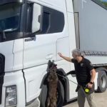 tirdan 80 milyon liralik uyusturucu cikti arkadasim rica etti kiramadim G4BqzCEW