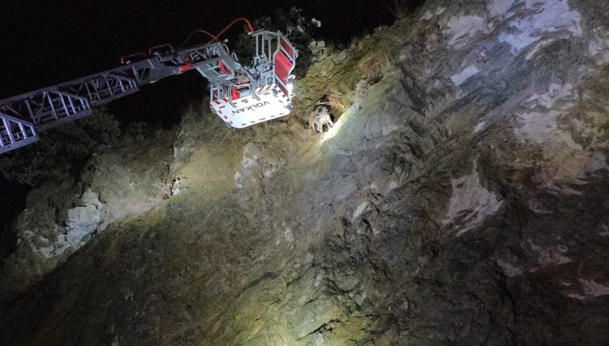 Uçurumun ortasında mahsur kalan köpeğe itfaiye yetişti 71 ucurumun ortasinda mahsur kalan kopege itfaiye yetisti CMWsvJAI