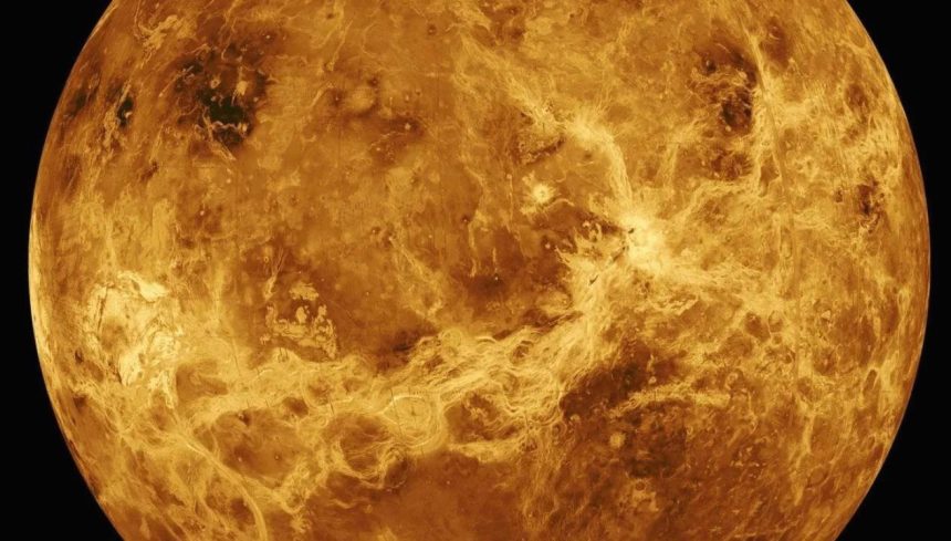 venusun yuzeyindeki tuhaf yapilar ne manaya geliyor J4d2BZRh