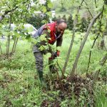 zirai don ve istilaci bocekfindik tarimini olumsuz etkiliyor en az 250 bin tonluk kayip WDjN6jpX