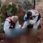 20 yil evvel islenen cinayette yeni gelisme J3SJswMO