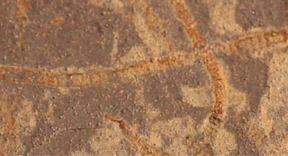 33 milyar yillik kayalarda kadim hayatin izleri bulundu nRsStcPk