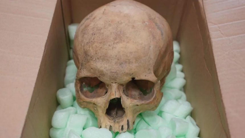 60 yil once caldigi kafatasini olmeden once geri gonderdi fcKXcFyG