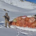 agri ve hakkaride uyusturucu operasyonu EgvzRTFH