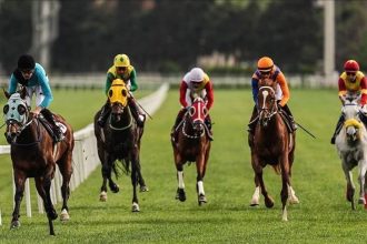 at yarislarinda cumhuriyet ve cumhurbaskanligi kosulari yapildi ZliIMzaY