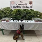 ciftliginde esrar ele gecirilen avukat beraat etti 2 calisani 14er yil ceza aldi pJ1IW77G