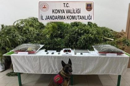 ciftliginde esrar ele gecirilen avukat beraat etti 2 calisani 14er yil ceza aldi pJ1IW77G