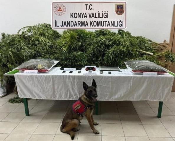 ciftliginde esrar ele gecirilen avukat beraat etti 2 calisani 14er yil ceza aldi pJ1IW77G